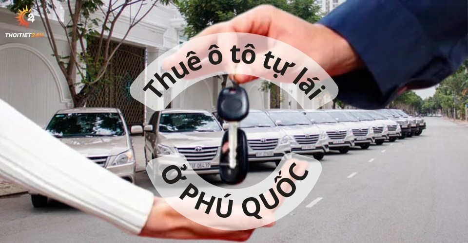 Thuê xe ô tô tự lái Phú Quốc: kinh nghiệm, bảng giá chi tiết